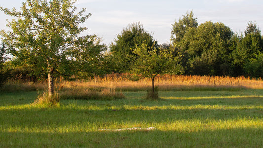 Was ist Selbstliebe? Dein Weg zu mehr Achtsamkeit & innerer Balance
