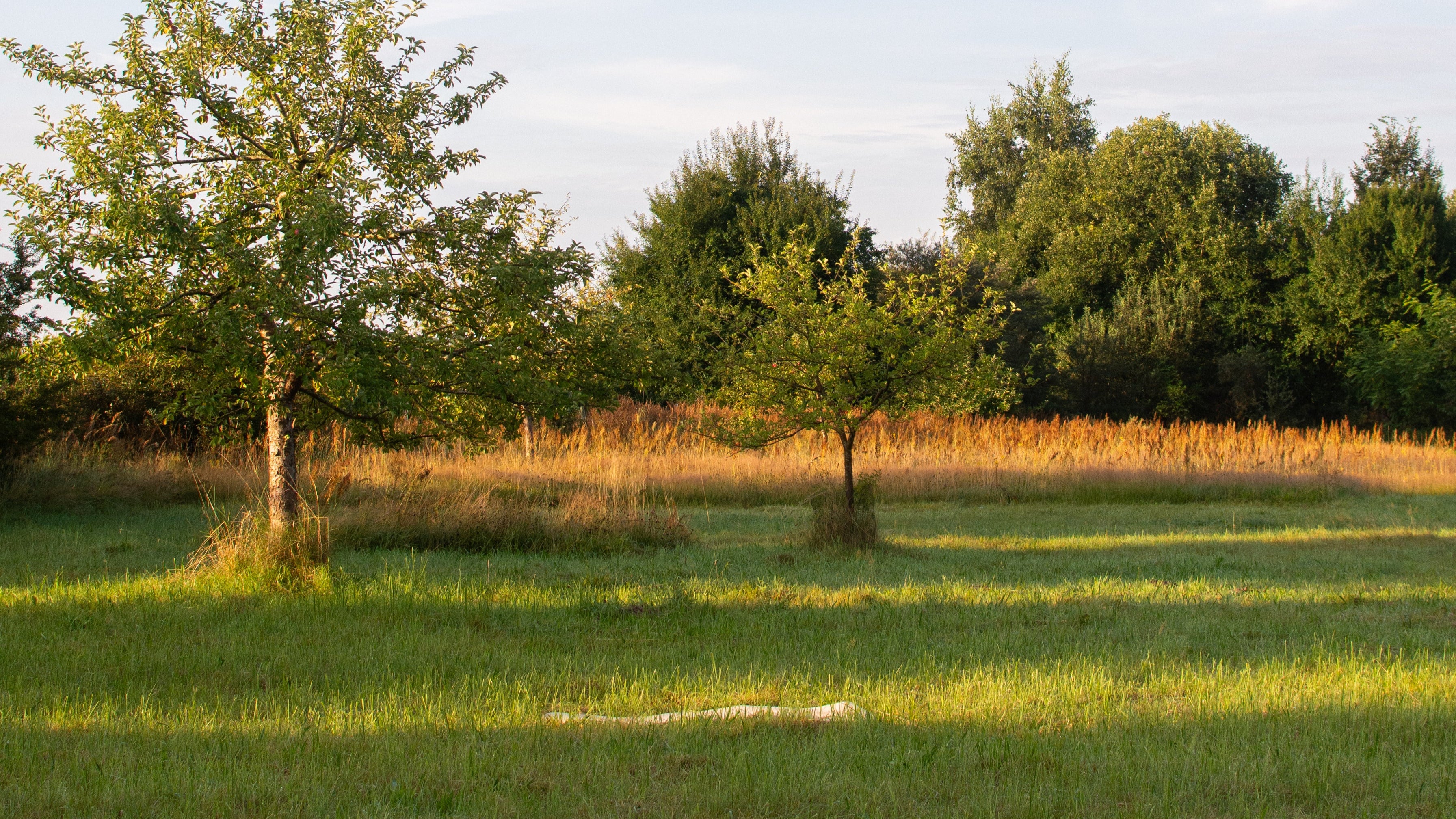 Retreat für Frauen, Yoga Retreat buchen, Yoga Retreat Deutschland, Retreat, Retreat Bedeutung