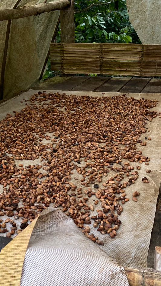 Zeremonieller Kakao Herstellung - Wie wird zeremonieller Kakao hergestellt?