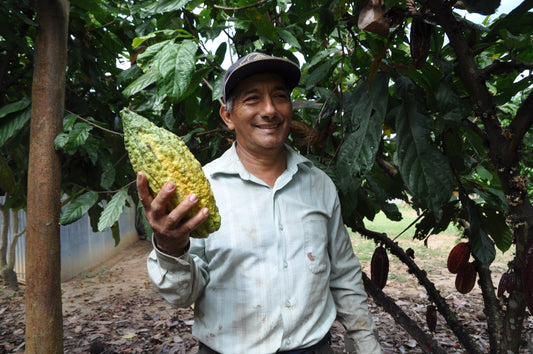 Zeremonieller Kakao - Herkunft & Wirkung von Tierra