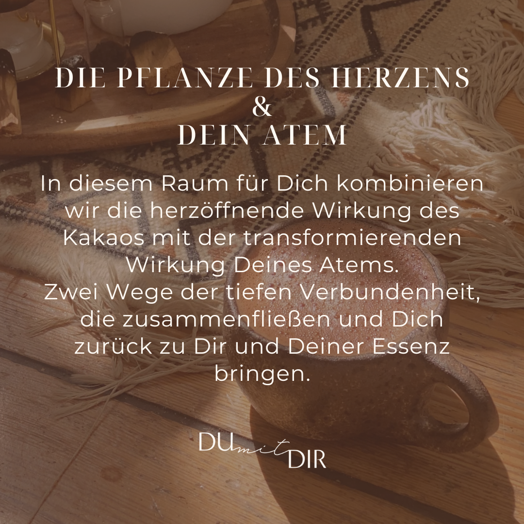 Kakao und Breathwork | Zurück zu Dir und Deiner Essenz