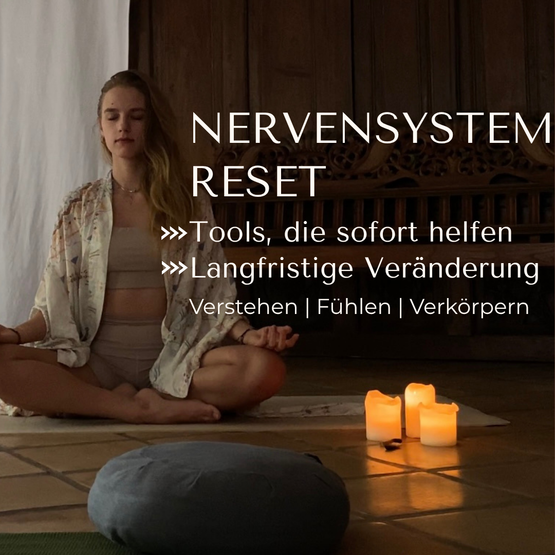 Nervensystem_Regulation, Nervensystem_regulieren, Nervensystem_staerken