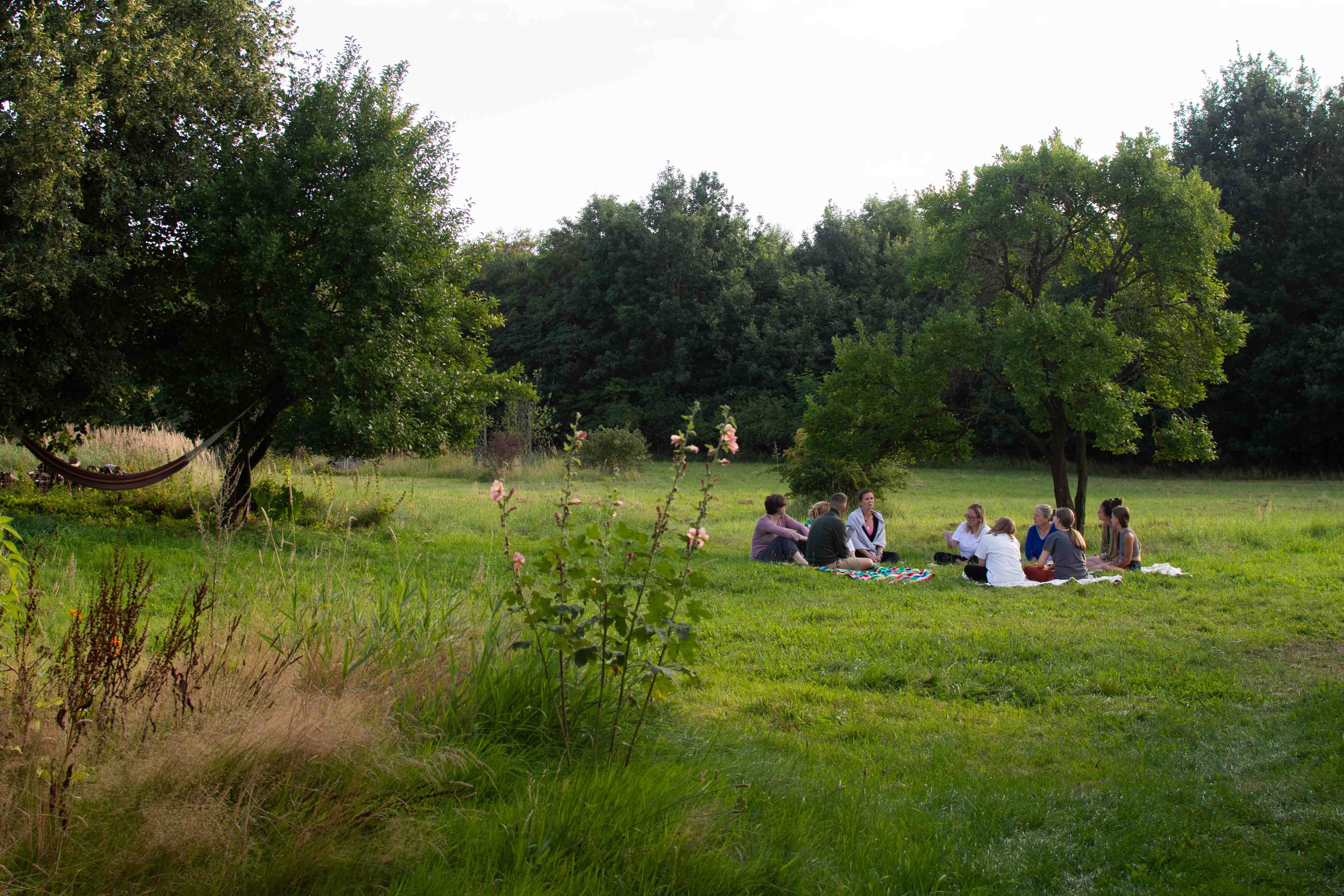 Retreat_fuer_Frauen, Yoga-Retreat, Retreat_2026, Nervensystem, Nervensystem_Regulation, Retreat_Natur
