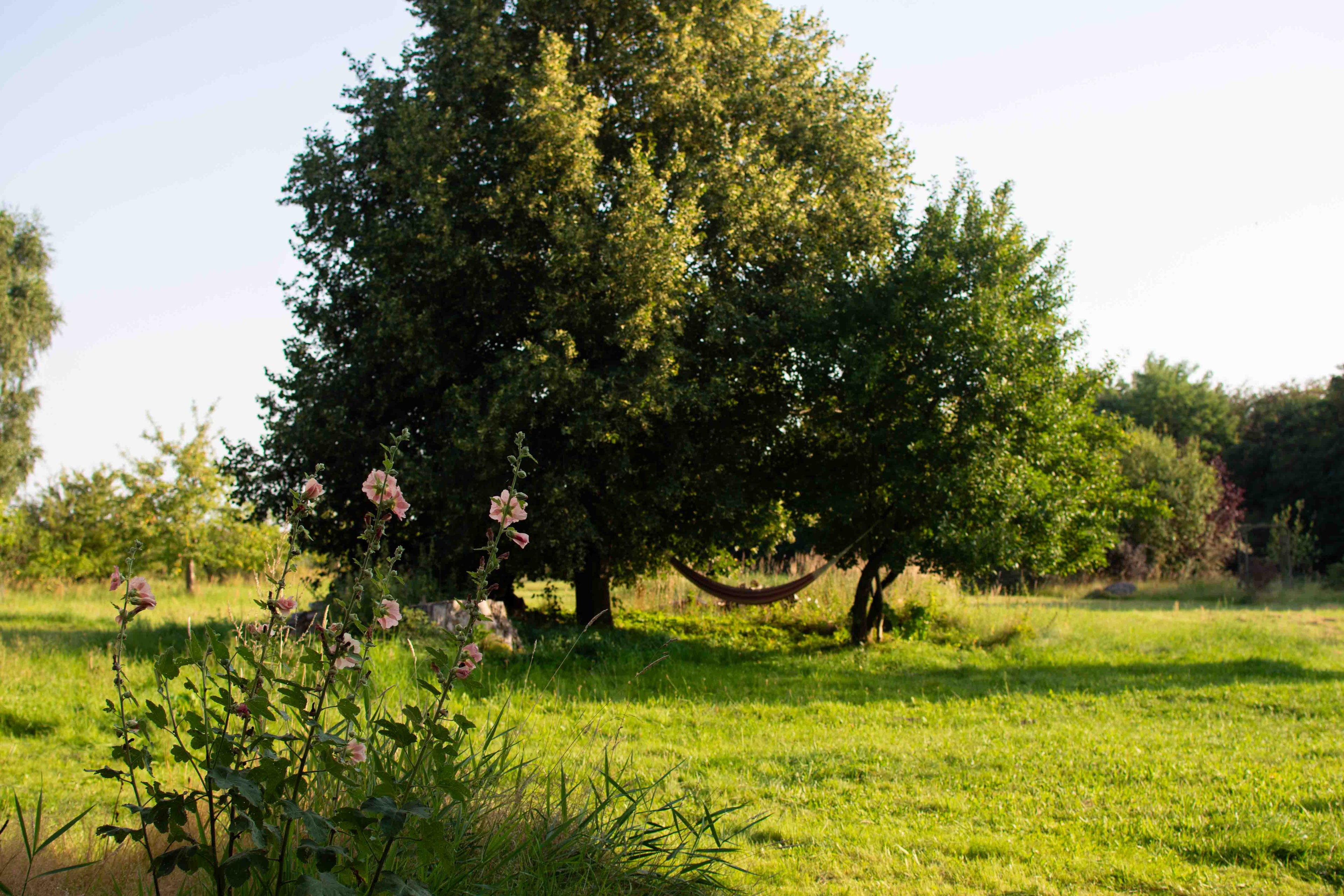 Yoga_Retreat, Retreat_in_Deutschland, Retreat_fuer_Frauen, Nervensystem_Regulation, Nervensystem_regulieren