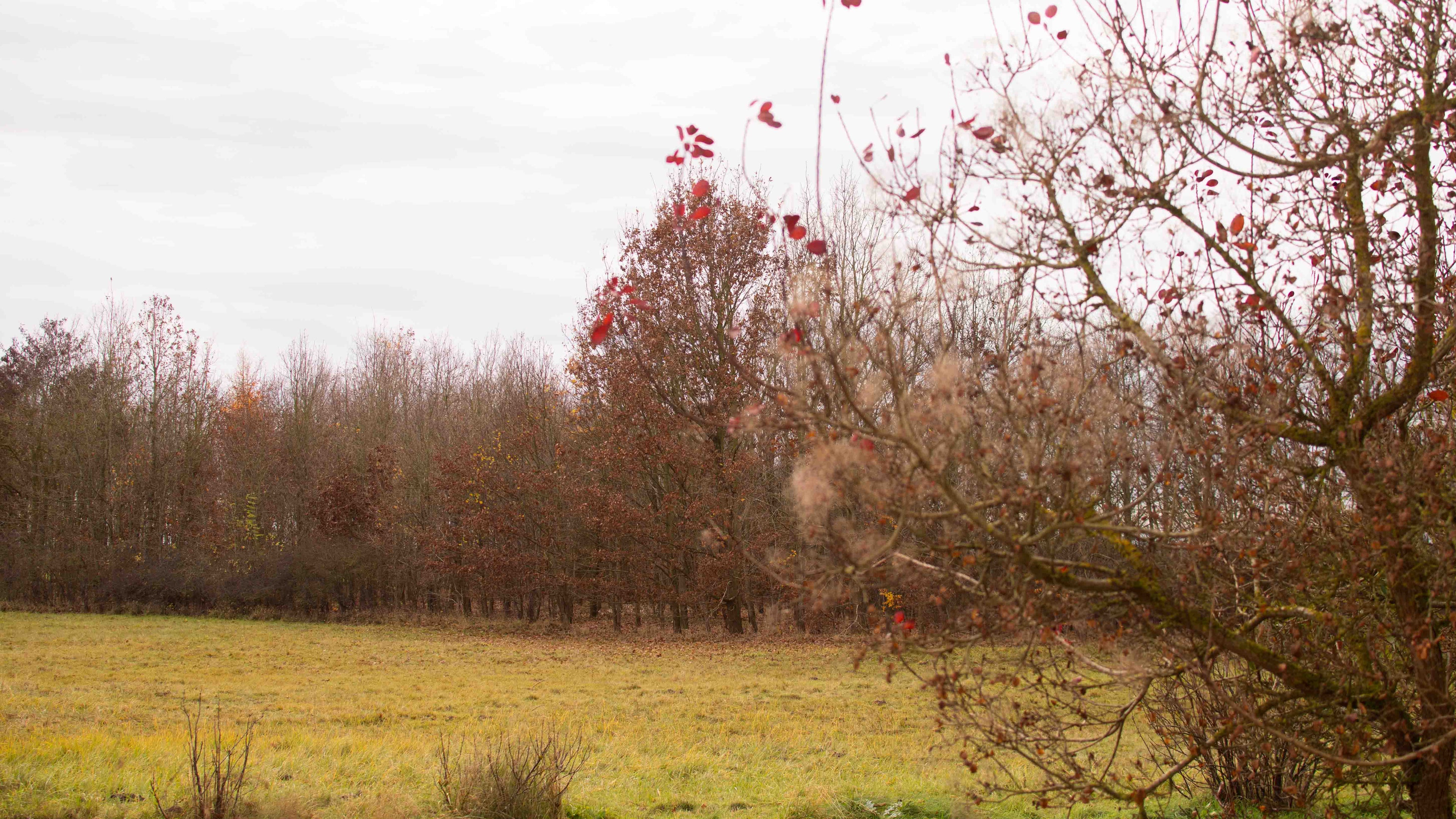 herbst_retreat, retreat_november_2026, retreat_mecklenburg-vorpommern, retreat_fuer_frauen
