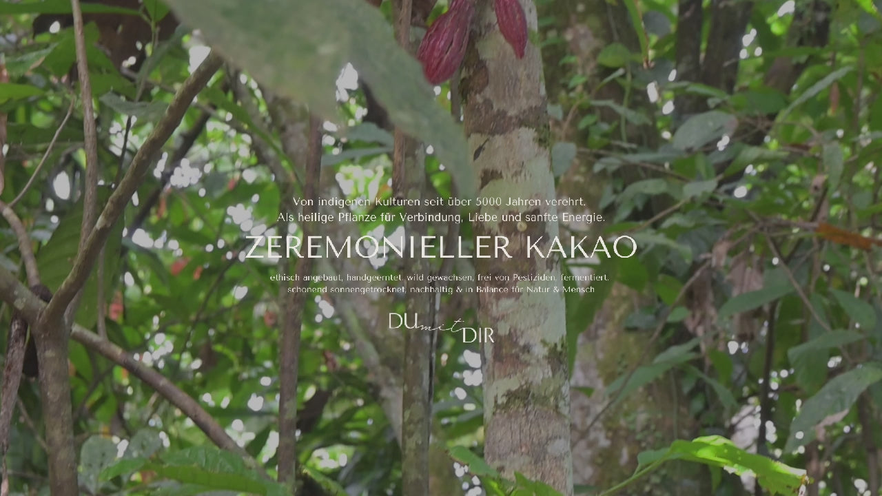 Video laden: Zeremonieller_Kakao, Ritualkakao, Rohkakao, nachhaltiger_Kakao, Meditation, Kakaozeremonie
